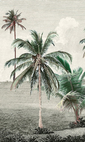 Engraved Tropical Landscape Wallpaper Mural 2 AZ003