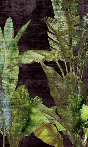 Green Tropics Wallpaper Mural AZ020