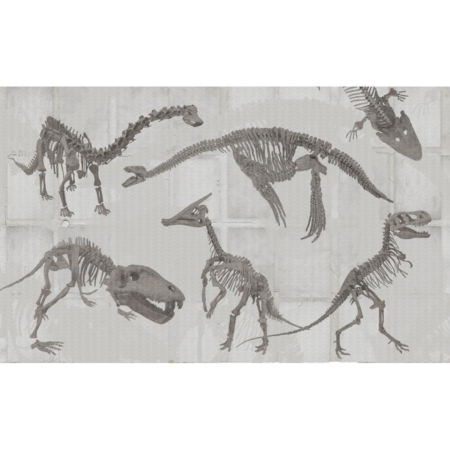 Custom Murals Dinosaurs Wallpaper DIN-100A