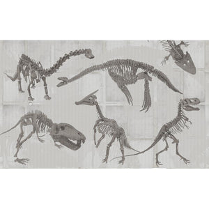 Custom Murals Dinosaurs Wallpaper DIN-100A