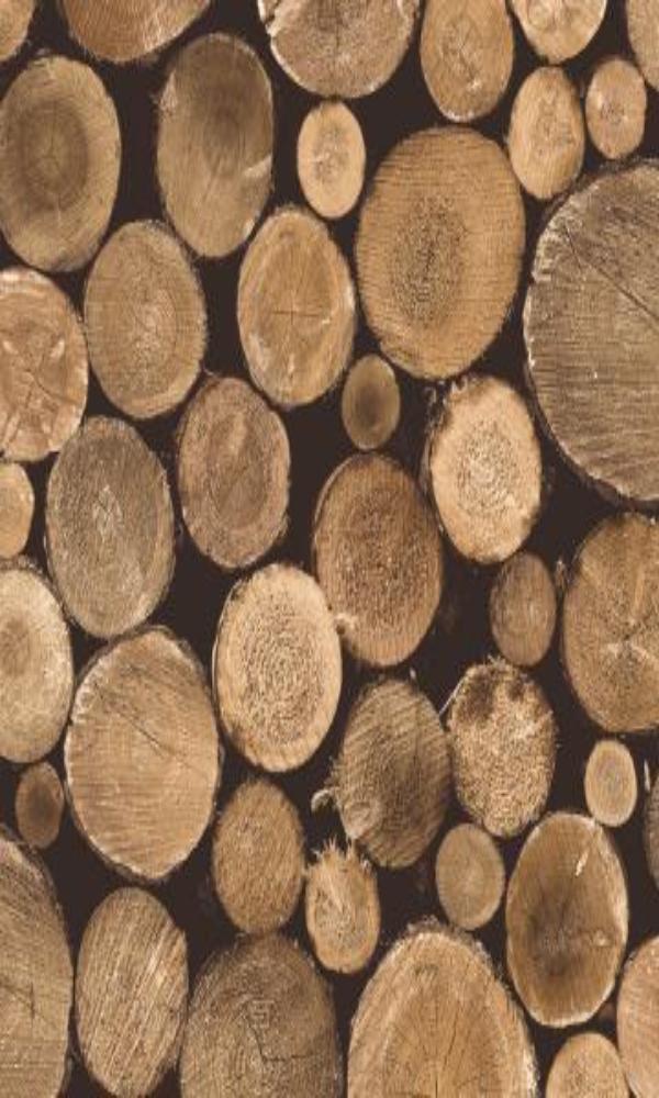 Splendour Wood Logs Wallpaper SD3801