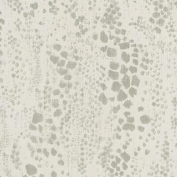 Wild Leopard Spots Wallpaper WIL704