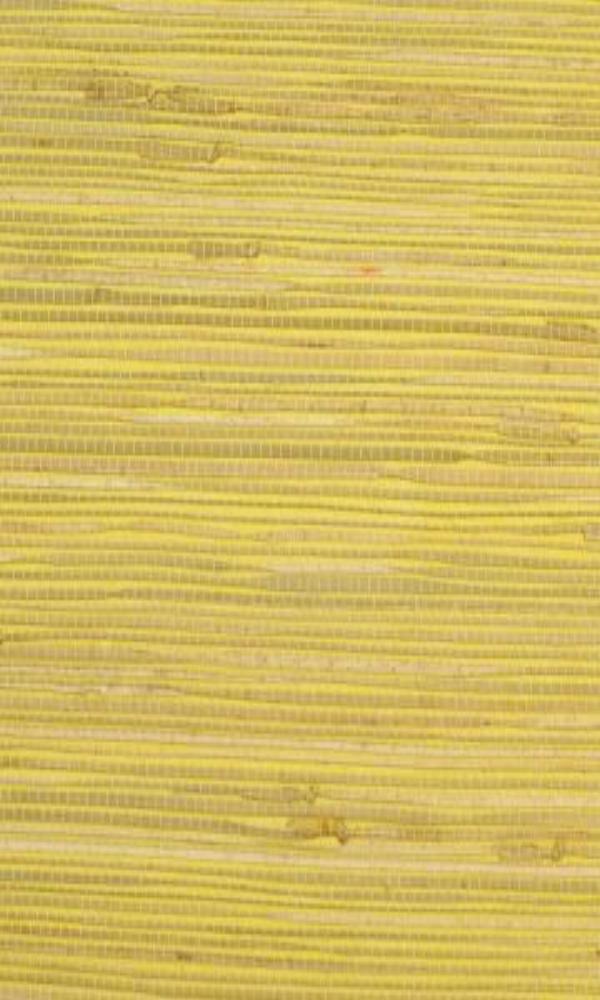 Grasscloth  Kapok Wallpaper GPW13-1003