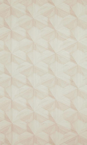 Loft Wooden Hexagon Wallpaper 218414