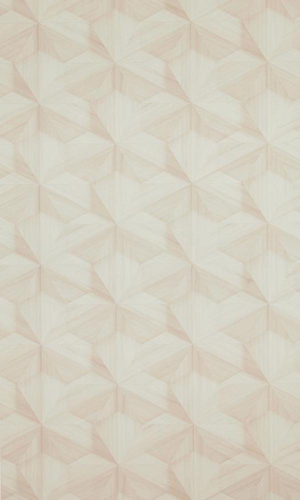 Loft Wooden Hexagon Wallpaper 218414