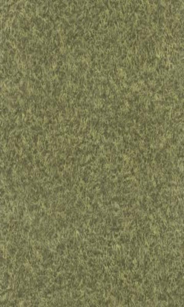 Black Forest  Mossy Wallpaper 514308
