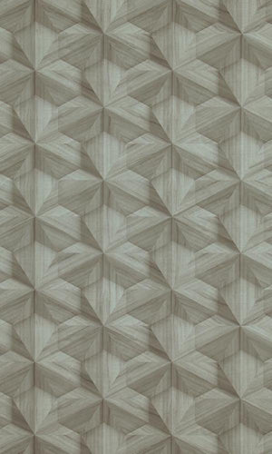 Loft Wooden Hexagon Wallpaper 218413