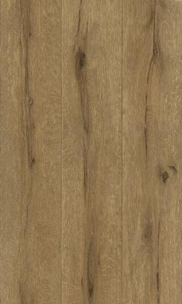 Black Forest  Knotty Wallpaper 514452