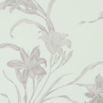 Caravaggio  Dainty Wallpaper 46844