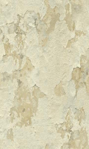 Precious Elements Weathered Plaster Wallpaper NH30707