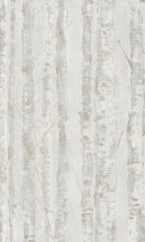 Cool Grey Skinny Birch Trees CH2402