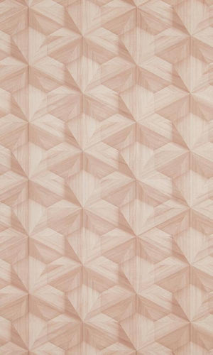 Loft Wooden Hexagon Wallpaper 218412