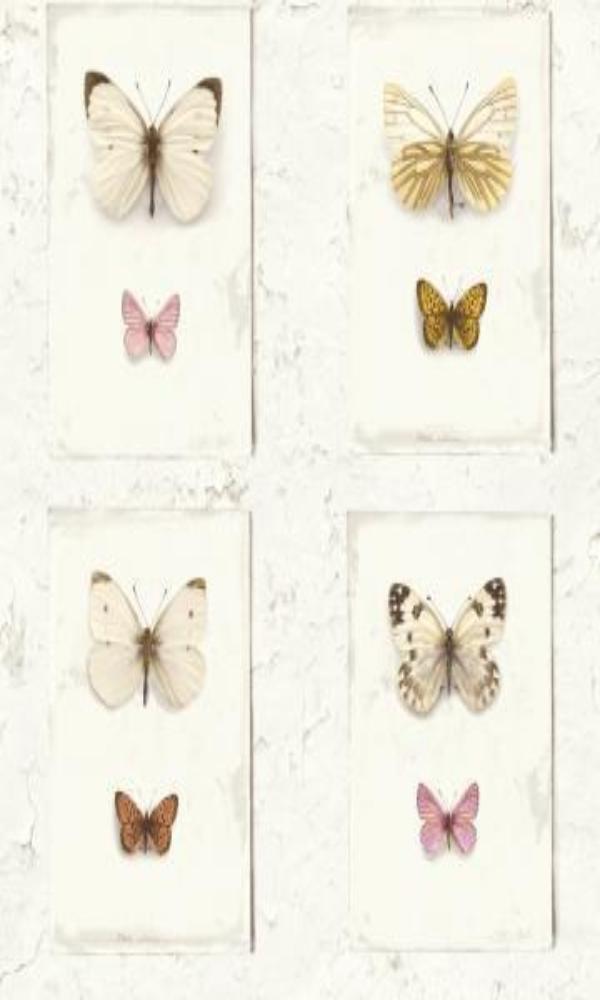 Splendour Vintage Butterflies Wallpaper SD2001