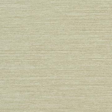 Madras Wallpaper 15255