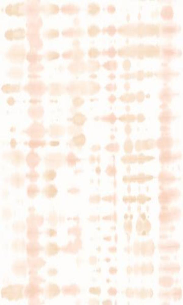 Modern Motifs Minimalist Tie Dye Wallpaper VP3104