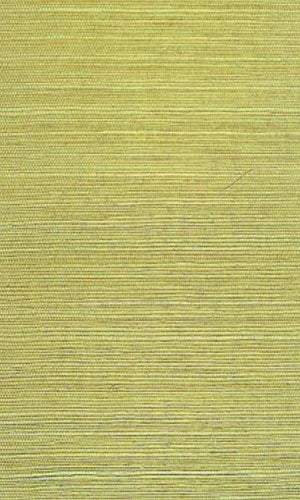 Grasscloth  Ramie Wallpaper GPW-NYSD-0509